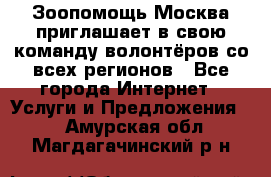 Зоопомощь.Москва приглашает в свою команду волонтёров со всех регионов - Все города Интернет » Услуги и Предложения   . Амурская обл.,Магдагачинский р-н